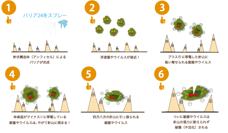 バリア24の効果